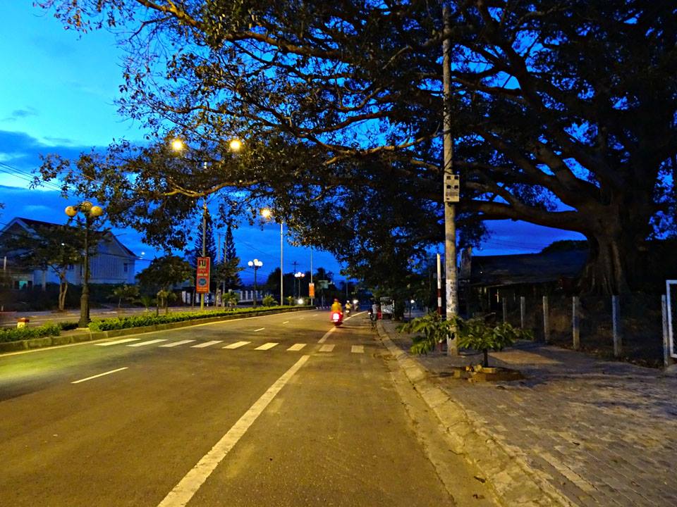 Hình ảnh cây đa Hòa Bình, xã Hòa Bình, thành phố Kon Tum