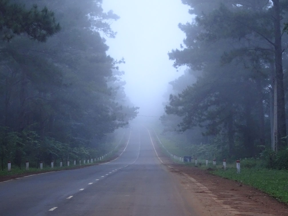 Cảnh thơ mộng sương mù sáng sớm quốc lộ 24 đi quảng ngãi rừng thông huyện Kon Plông khu du lịch măng Đen Kon Tum