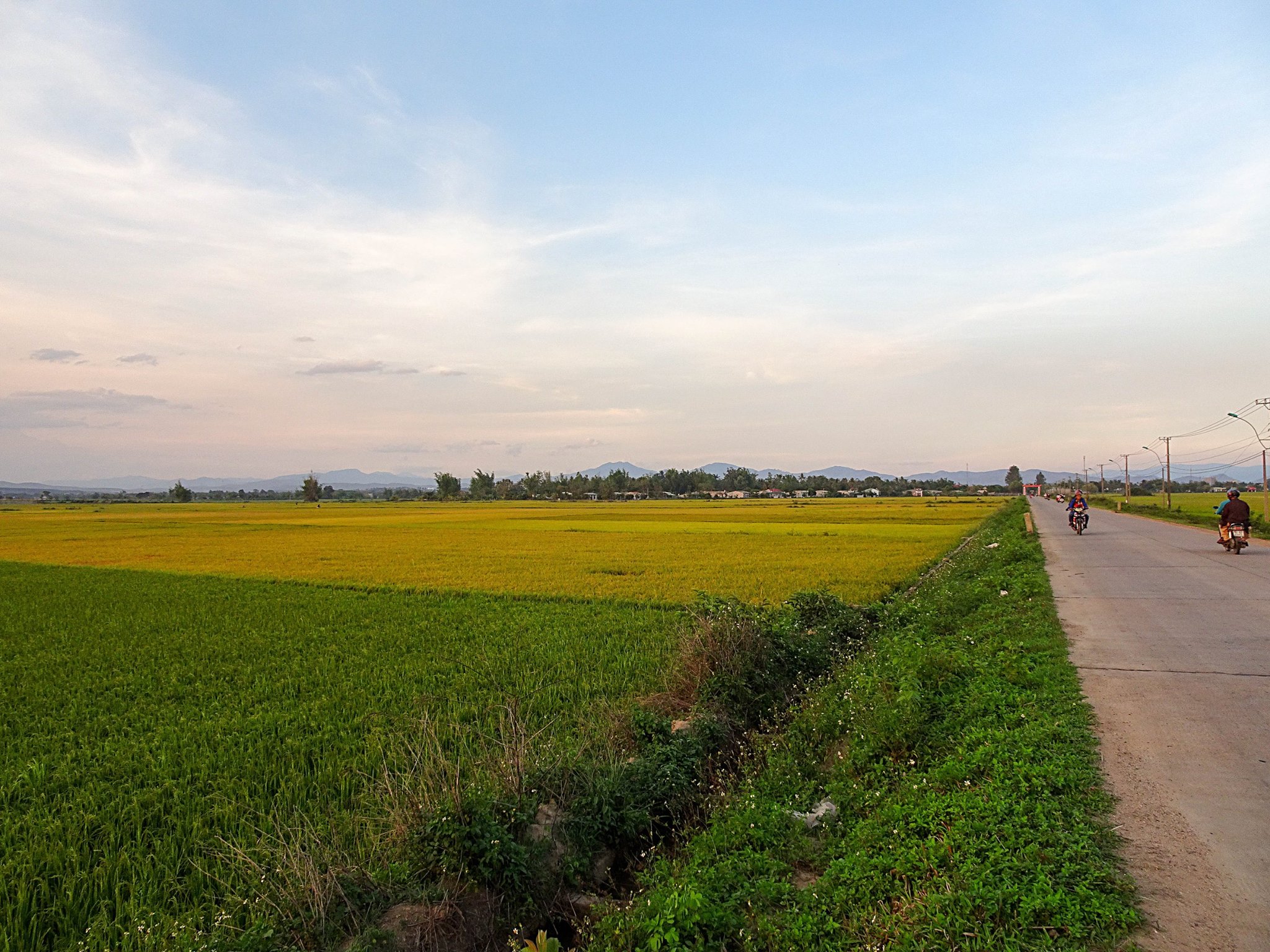 Hình ảnh cánh đồng lúa đường đi vào xã đoàn Kết Kon Tum
