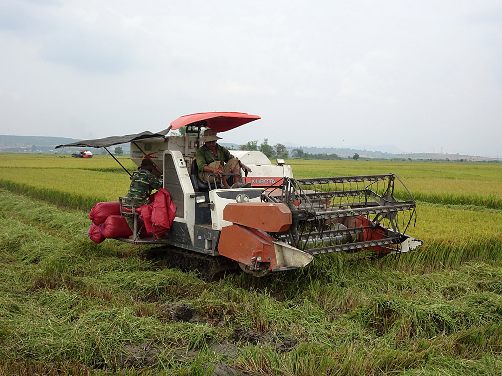 Hình ảnh máy gặt lúa liên Hoàn kubota
