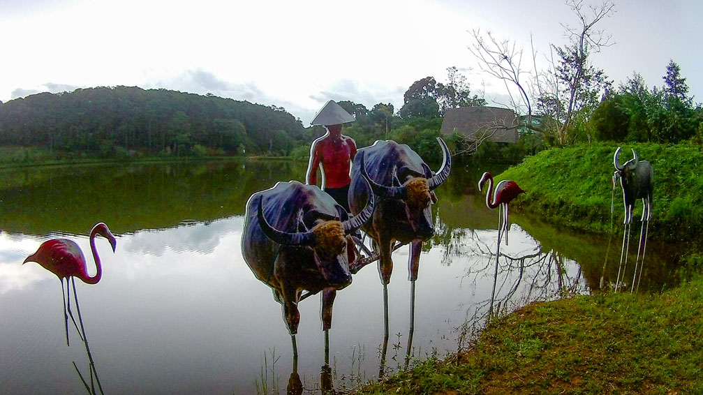  Hình ảnh người nông dân Việt Nam với con trâu, con cò