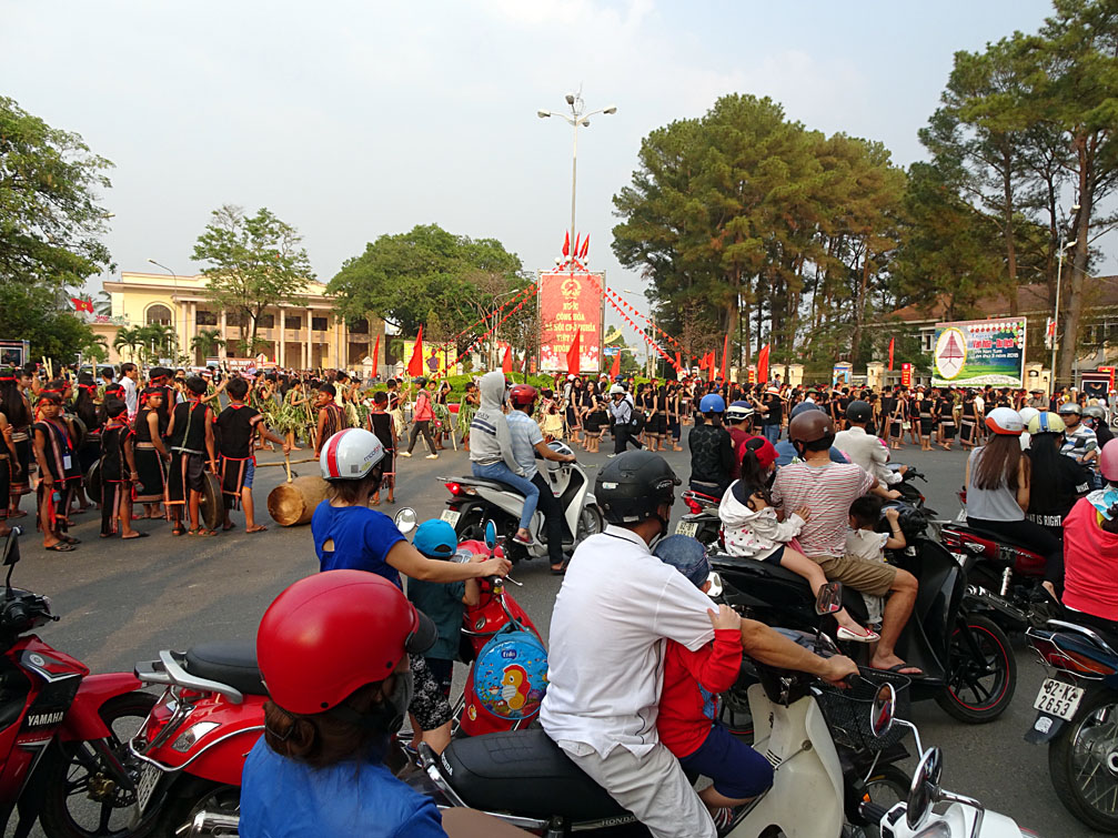 Lế hội văn hóa dân gian Kon Tum - Tây Nguyên, những hành cây thông bên đường khu vục văn phòng UBND tỉnh
