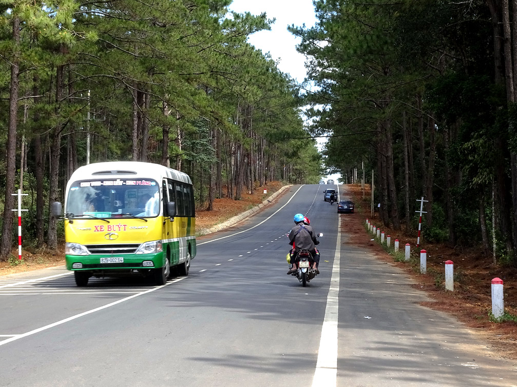Hãng xe buýt Thái Hòa Tây Nguyên đi qua rừng thông Kon Tum