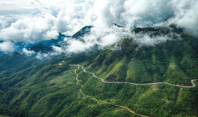 Hình ảnh rừng núi nguyên sinh trồng sâm Ngọc Linh Kon Tum Quảng Nam