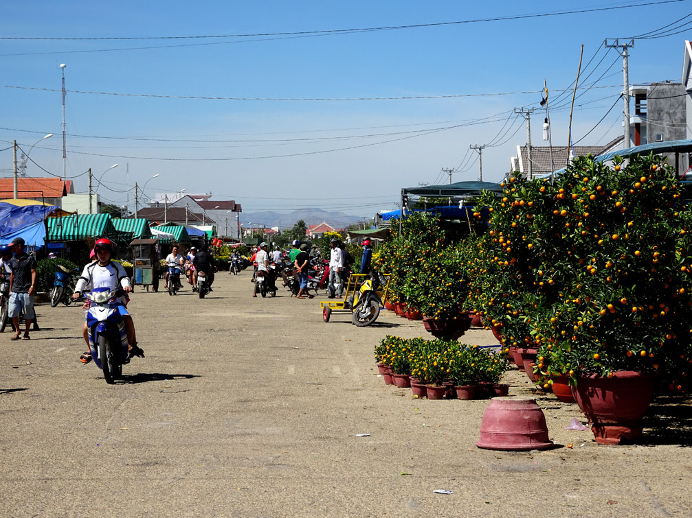Chợ hoa xuân Kon Tum 2016 tại phi trường cũ
