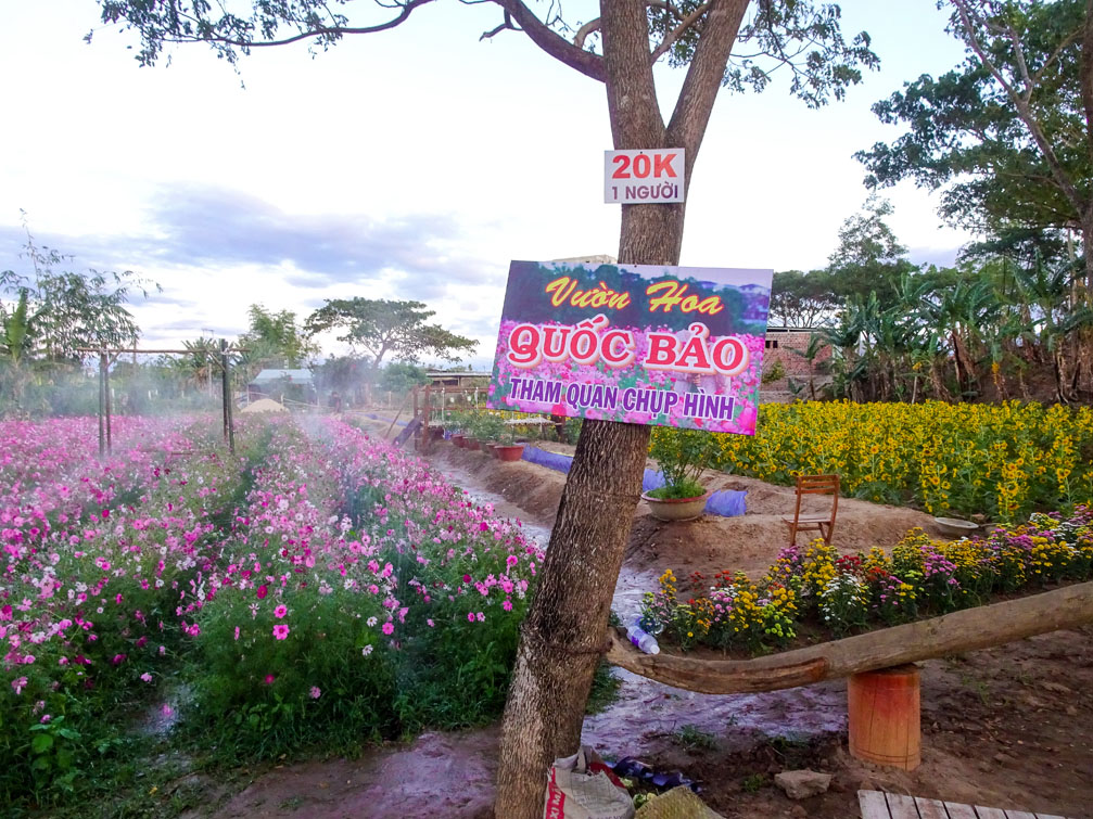 Vườn hoa Quốc Bảo | Thành phố Kon Tum